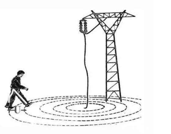 长颈鹿 雷电瞬间劈死550只羊！为什么专电陆地动物，而海里的鱼却没事？