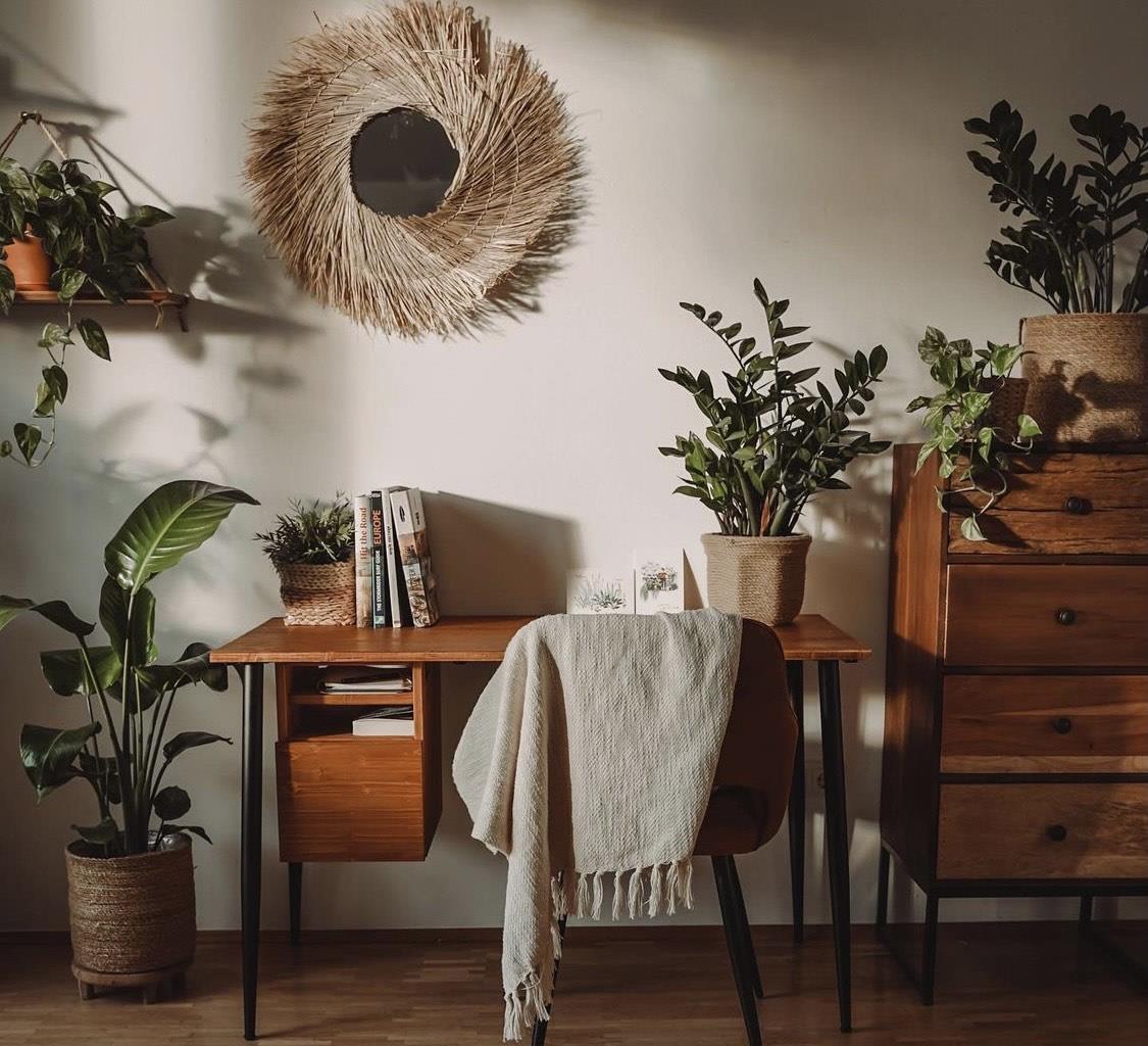 参观完她家，才知道什么叫高级！全屋绿植环绕，精致生活惹人羡慕