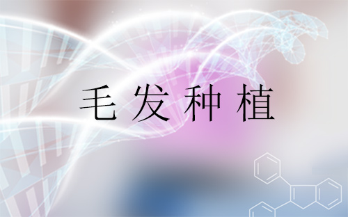 求发网|脂溢性脱发怎么办 毛发移植技术有哪些优点