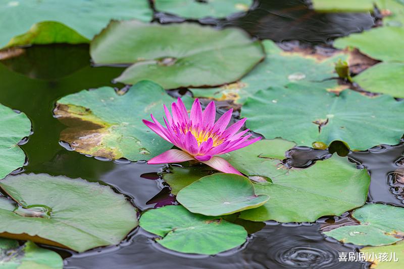 喜刷刷小孩儿|在你失败的每个人生驿站中,你应该为自己鼓掌,虽然此时掌声有点微弱