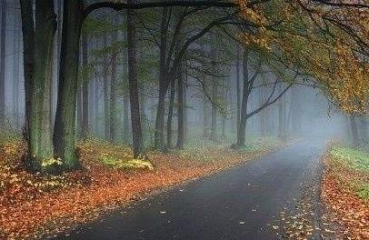 梦缘易八字命理|财星无缘用神被制，格局不高难有成就，要降低欲望，方可快乐幸福