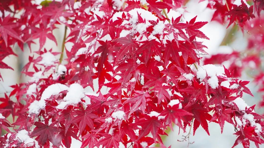 驻马店|职场菜鸟，如何破局系列（一）