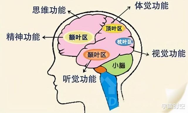 粒子都是无意识的,它们堆积在一起是怎么形成有意识的生命的?