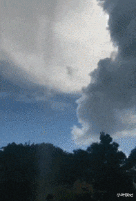 小叶娱记 “吃自己岳父的醋是什么体验？看完这个真的忍不住！”有眼不识泰山