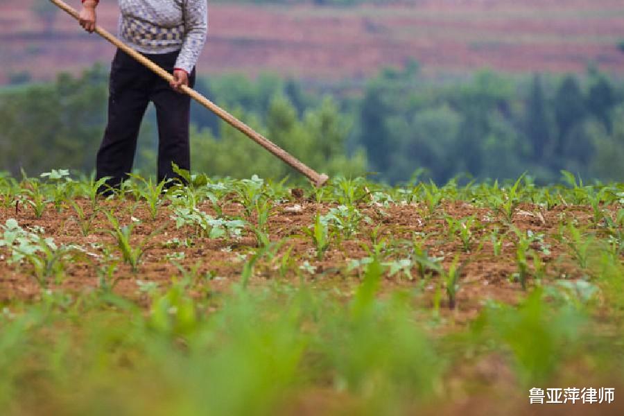 民警 男子杀人后逃入深山老林，半年后化为一具白骨