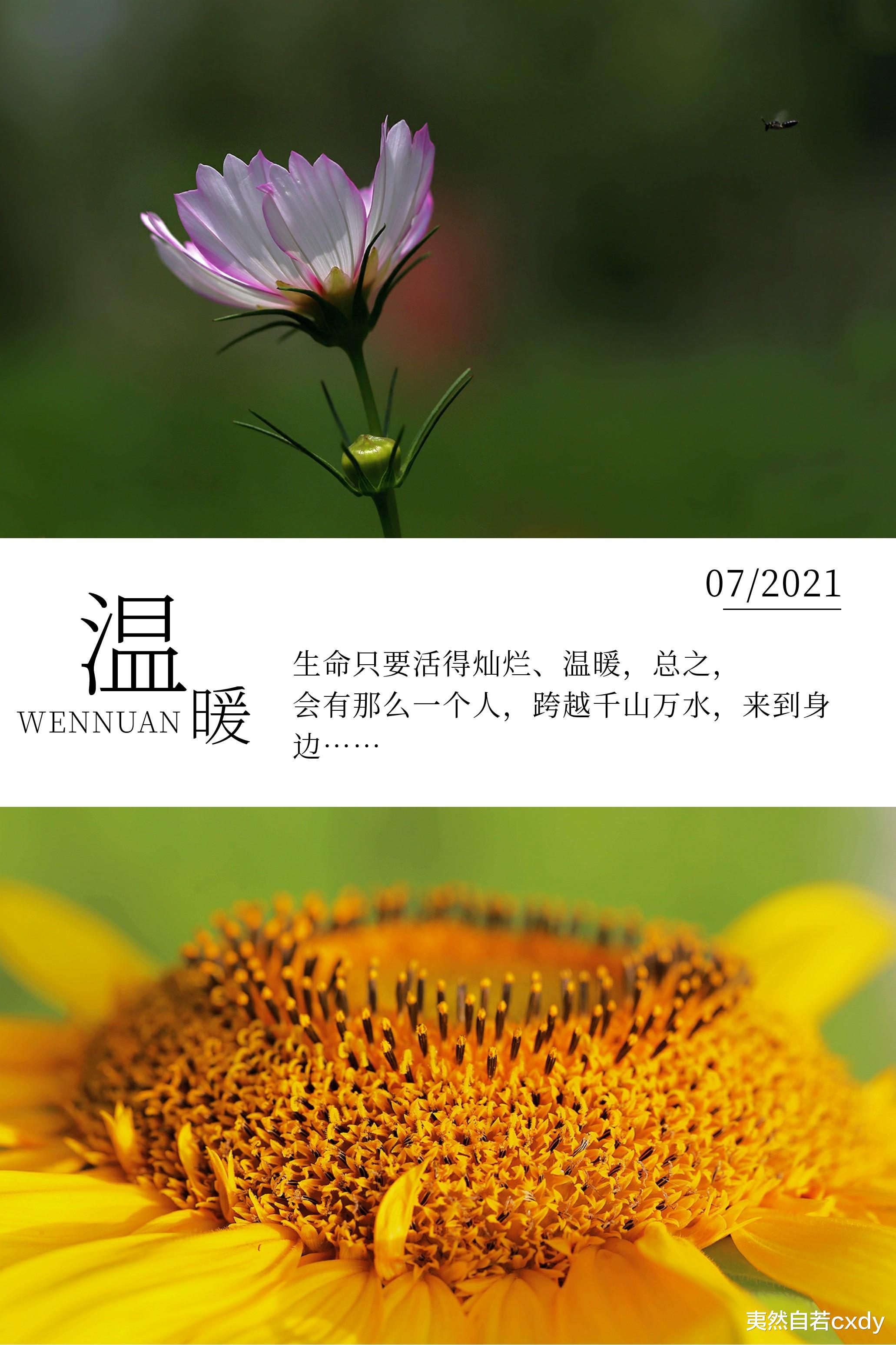 夷然自若cxdy|湿了衣裳，却醉了心头，这些美好值得付出