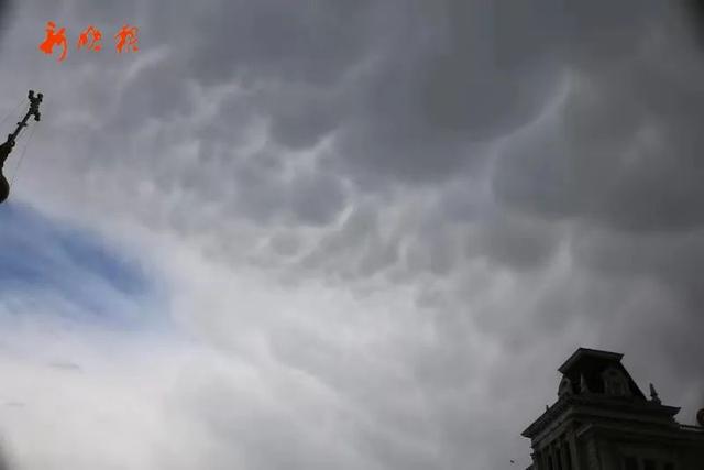 新晚报 昨天，“伏地魔”来哈尔滨了？