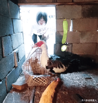 李雪琴|《向往》迎来直爽女嘉宾，一来就干活钓鱼做凳子，还大方自揭老底