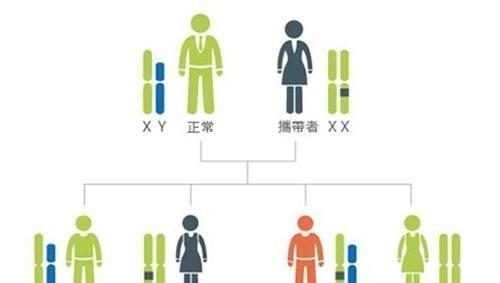 基因 “一夫一妻”的动物，如果一方死了，它们能经受住交配的诱惑吗？