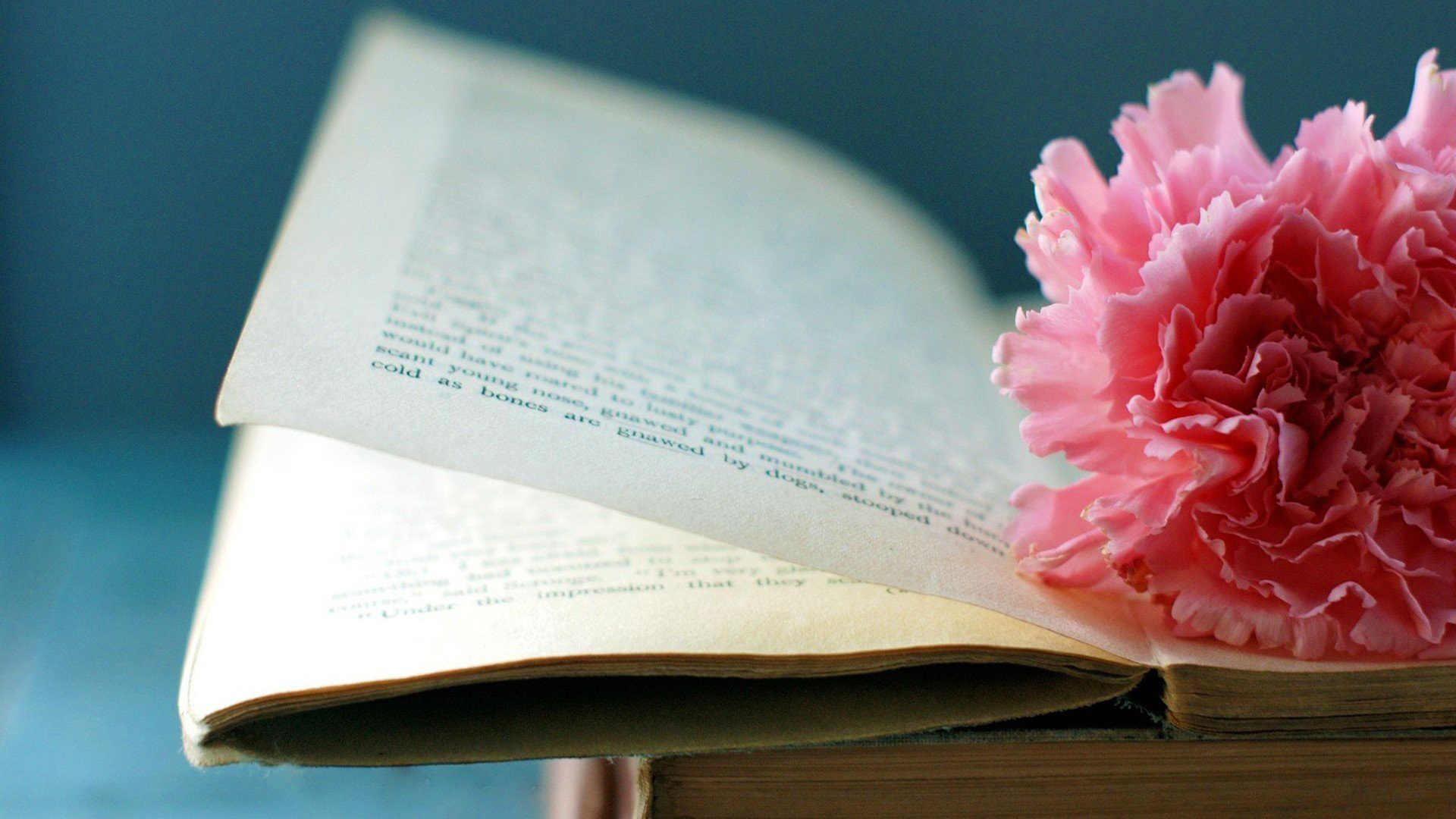 叶子星语|这些星座明明很专情，却装作花心，错过爱情之后，他们才幡然醒悟