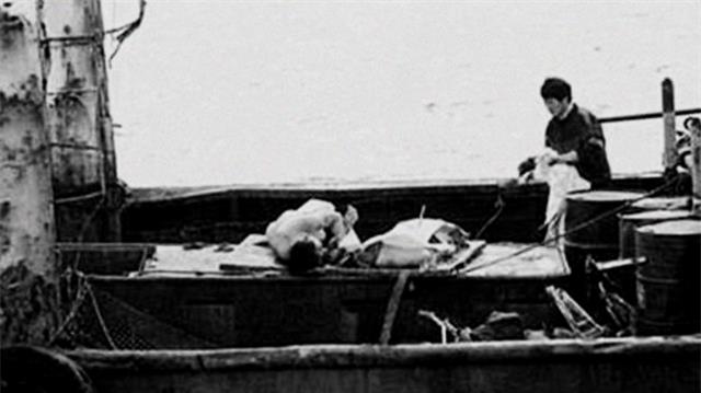 DEEP深度世界|1985年哈尔滨沉船事件：驾驶员替班参与群殴，171人葬身松花江