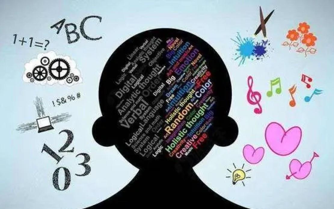 大脑皮层 人脑只用了3~5%，开发出100%就能上天入地，这种说法有根据吗？