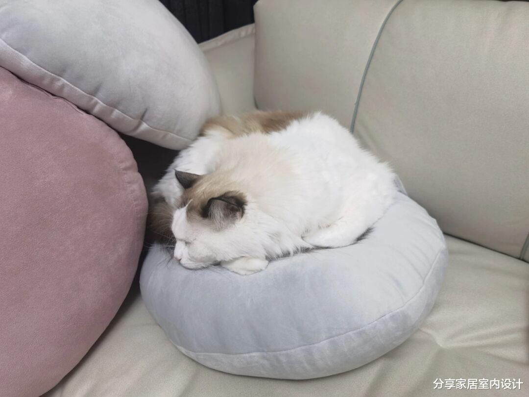 入住几天的新房，太温馨太舒适了，简单装修非常满意，分享一下！