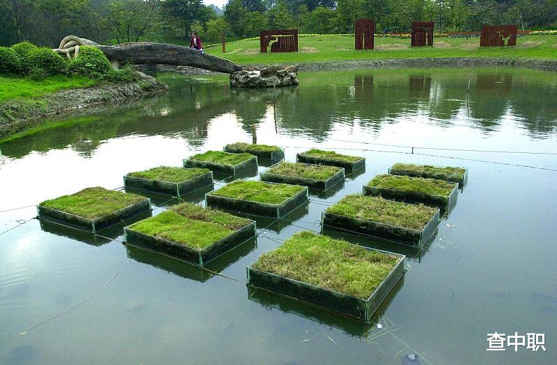 视觉传达、环境艺术设计和服装设计选哪个好？就业方向相通吗？