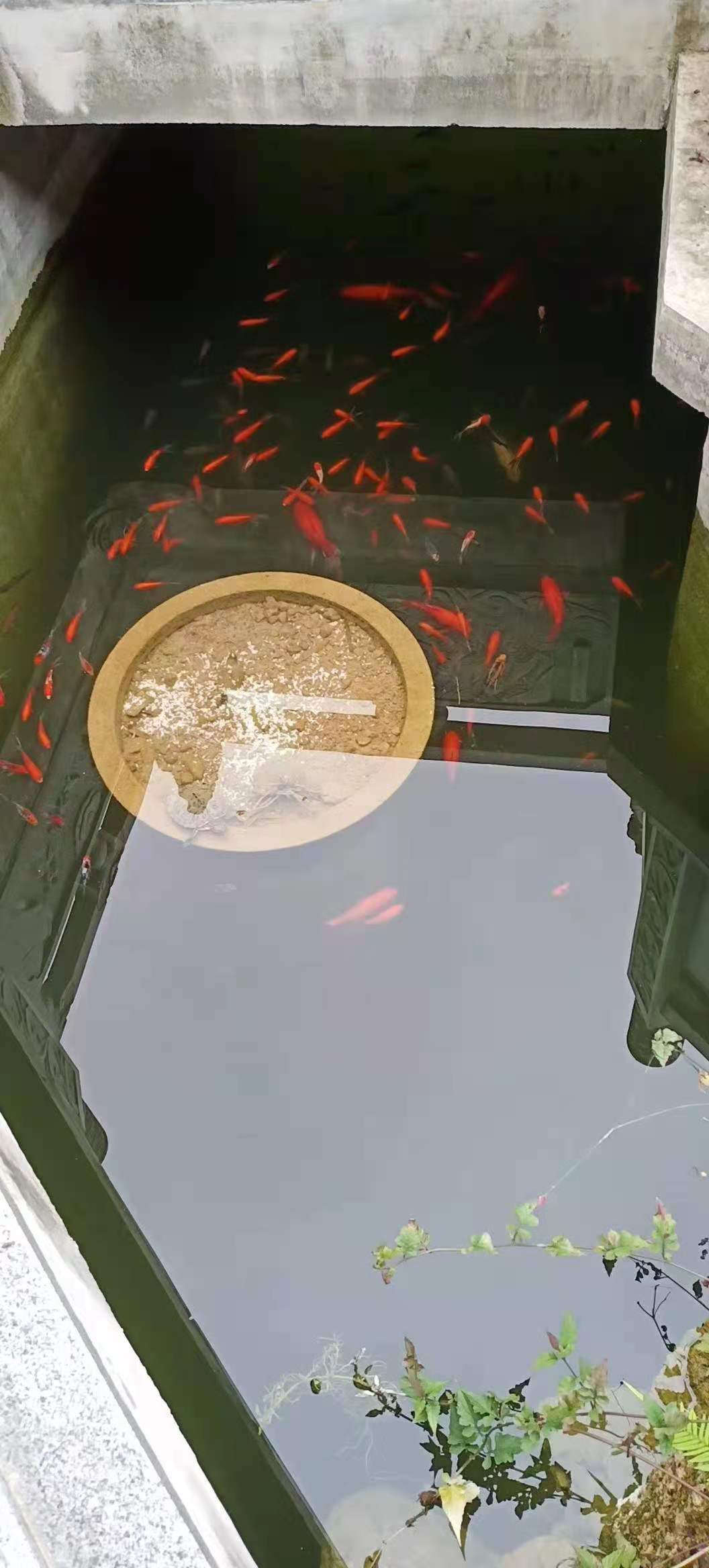 玄风命理|天命有劫数!你需要注意的破财年岁?