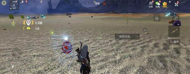 妄想山海|妄想山海:鹞彩石有什么用