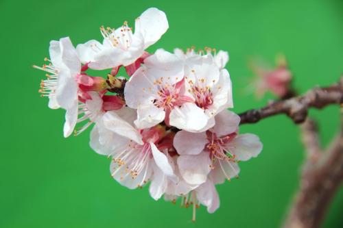 离雨微凉 心情不好的时候，坚持去做这三件事