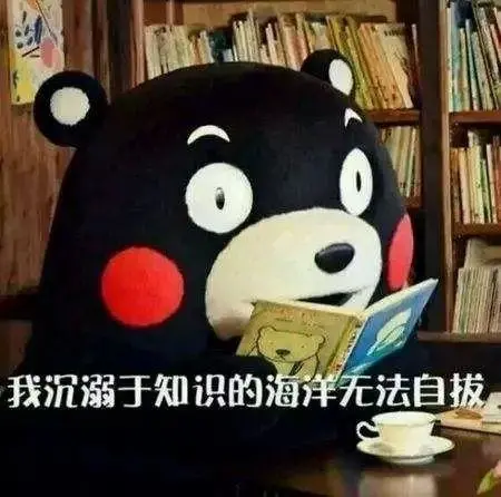 高考|谁的高中不迷茫？