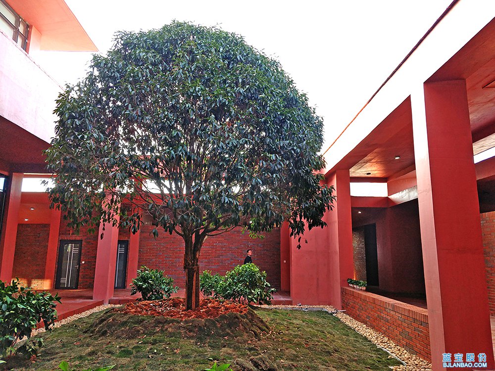 蓝宝清水|蓝宝清水 | 出神入“画”的红色清水混凝土建筑-花山服务区