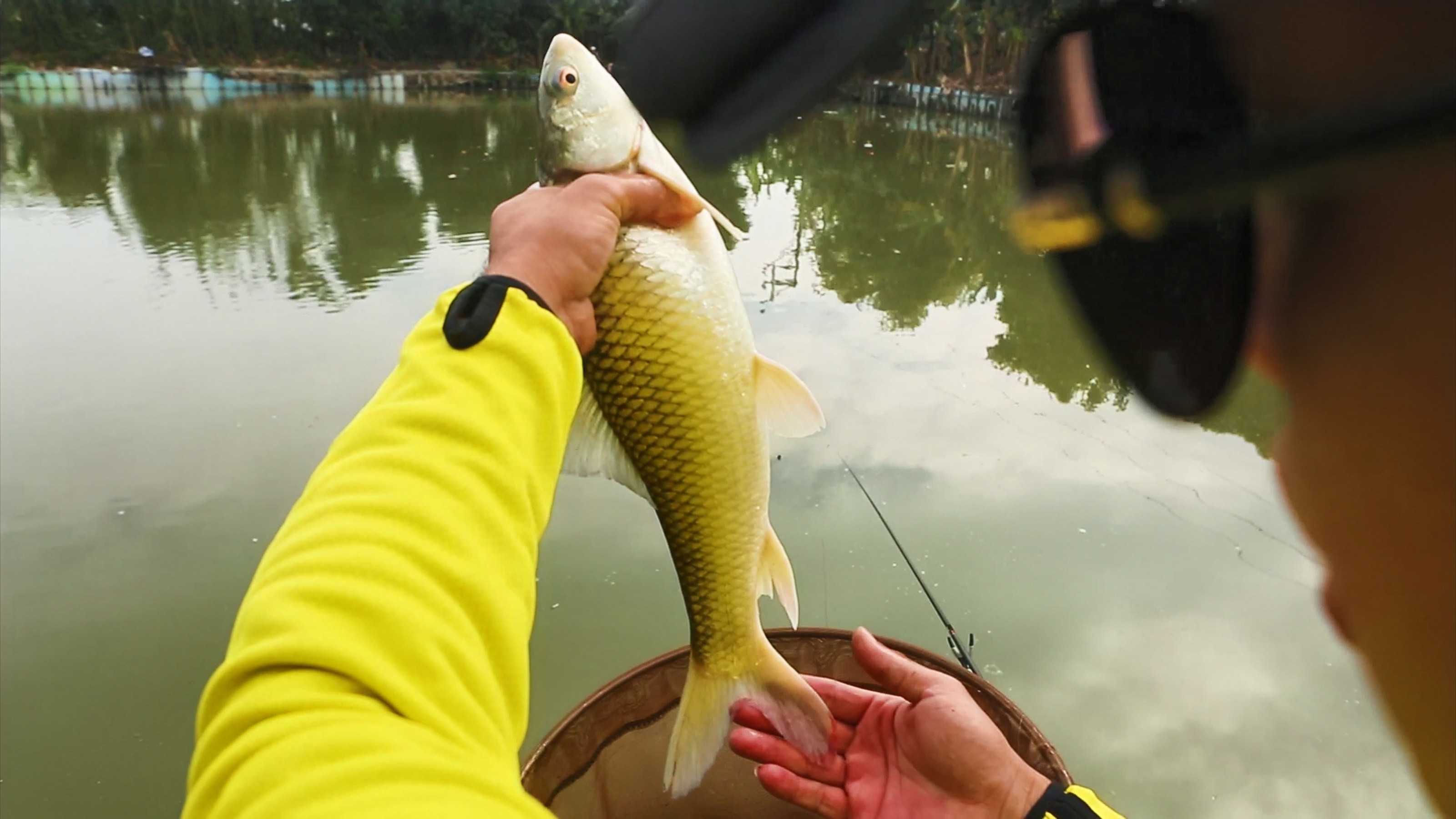 |【本汀隼—挑战最难黑坑第六期】小岛钓鱼记