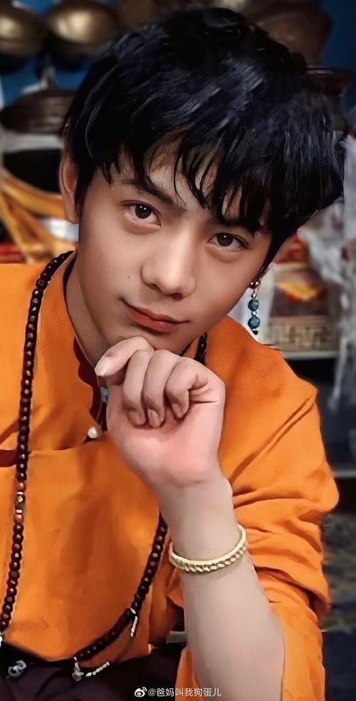 Ala的陪伴|丁真的颜值真不是盖的，纯天然的帅气，笑起来好治愈