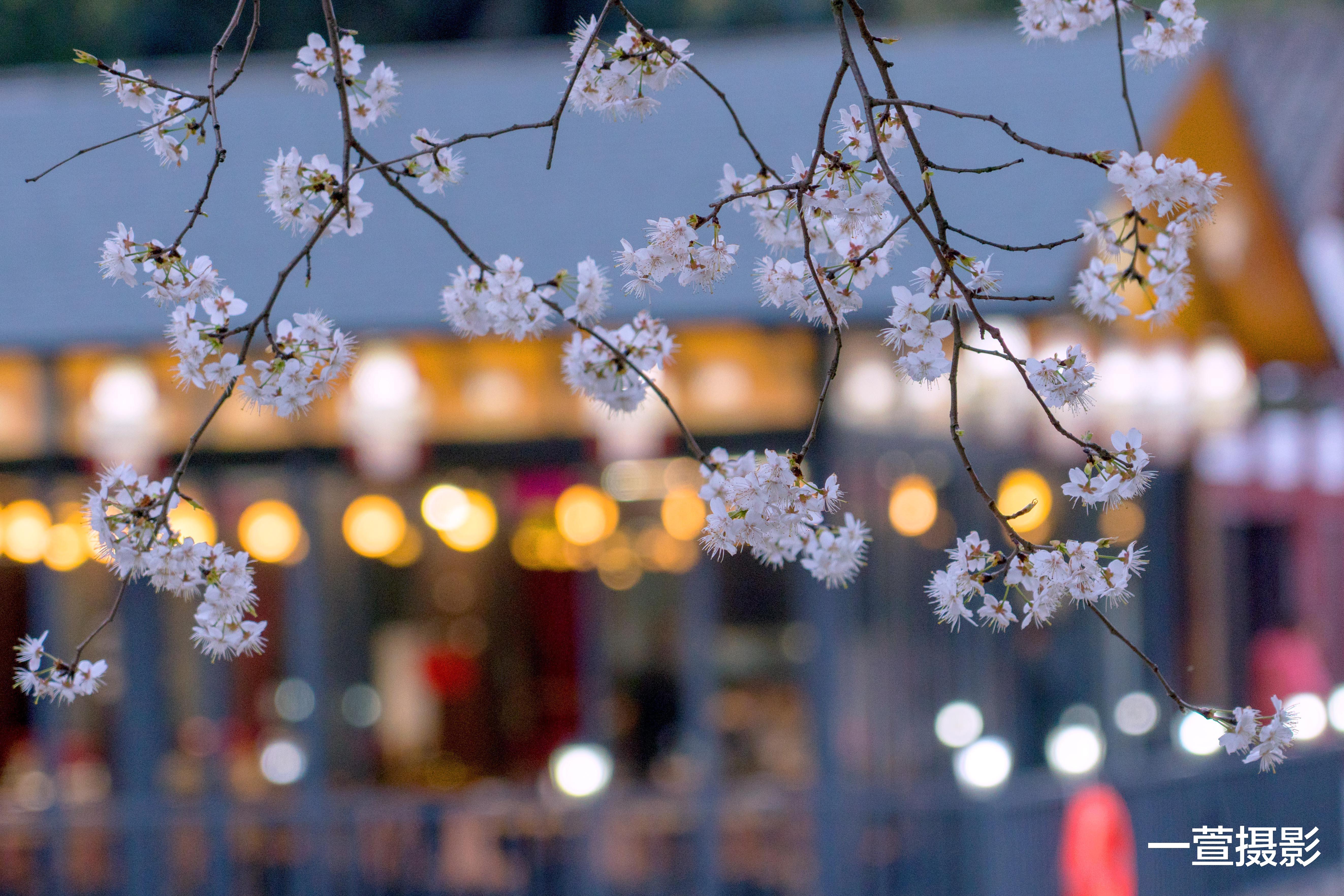 摄影构图有什么作用 它与摄影做减法有什么关系 新手怎样学构图