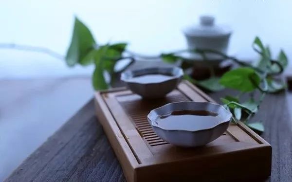 洋葱|长期喝茶,至少能“尝到”5个好处