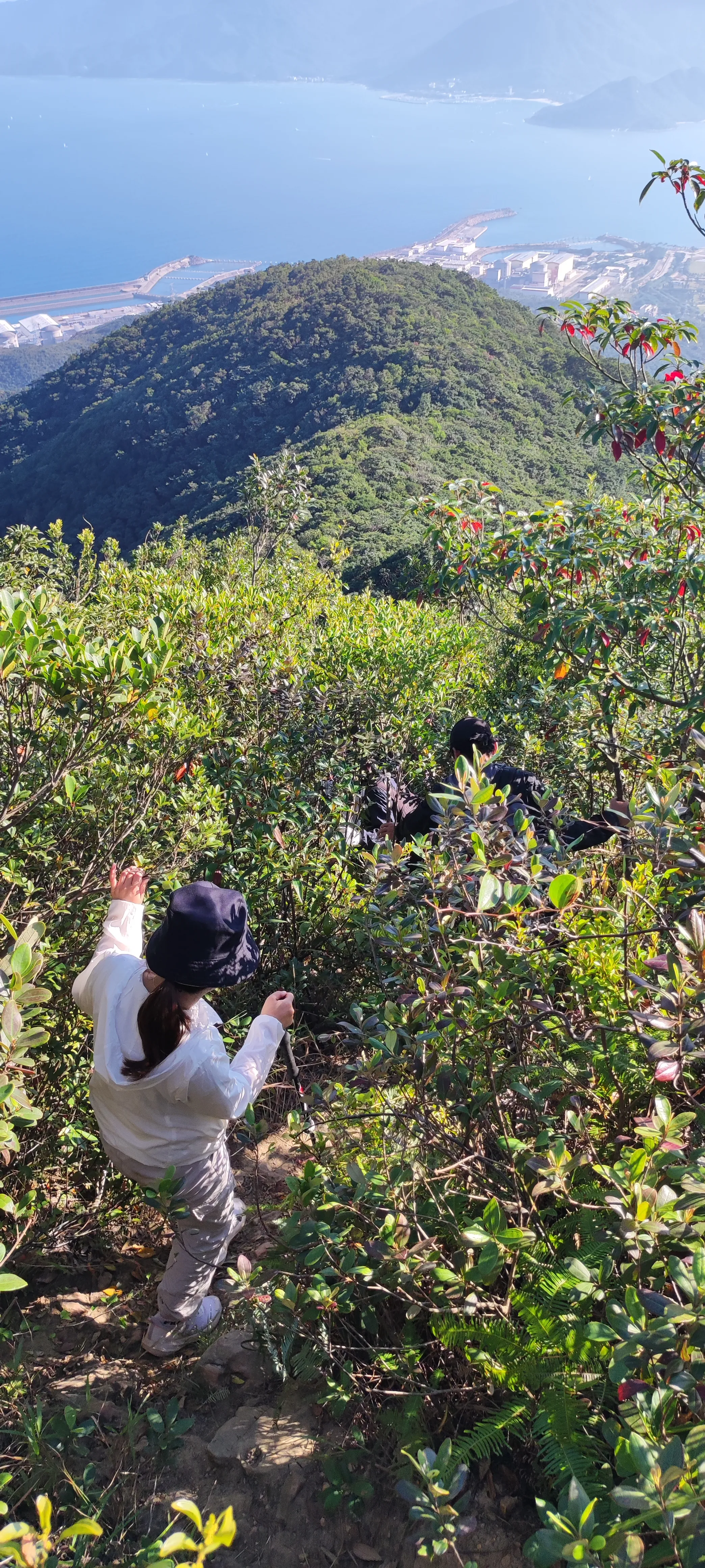 海参崴|深圳大鹏半岛，登顶排牙山记录