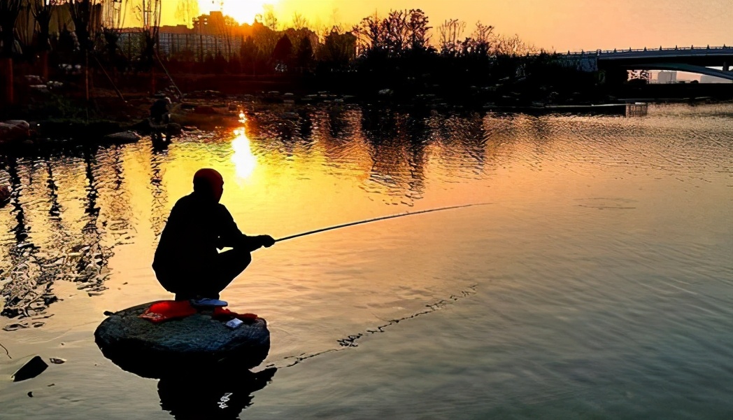 饵料|新手野钓前，这几件事必须心中有数！