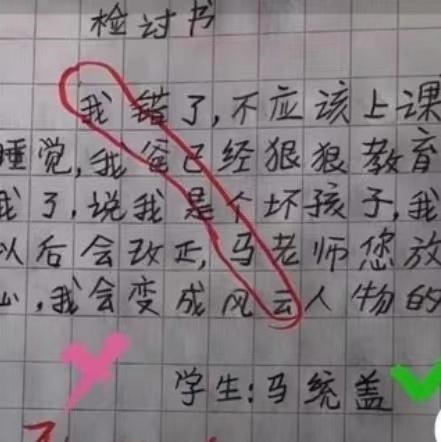 家有二宝育儿|小学生写“藏头诗检讨”,明面道歉实则发泄不满,很多孩子都干过