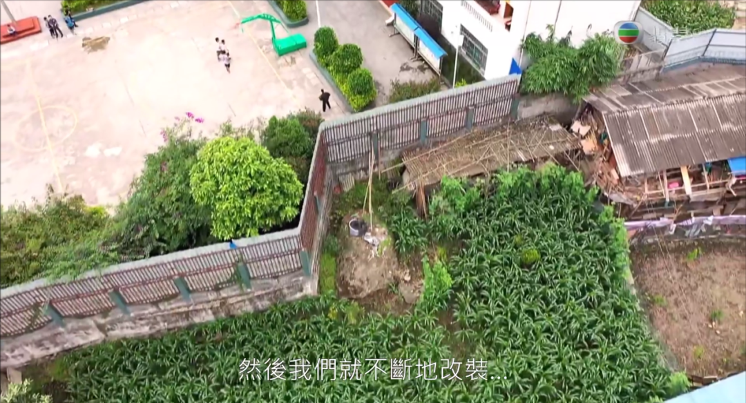 乔任梁|今年最高分，TVB又放大招了