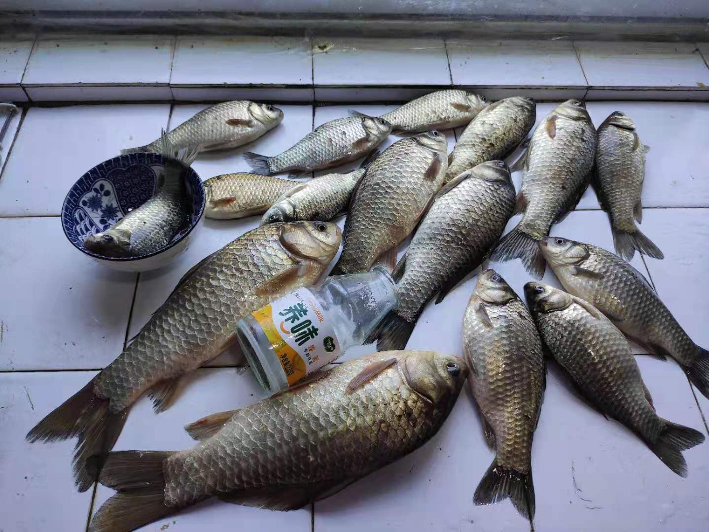 |最近鱼口不佳的原因找到了,只需调整这两点,大鲫鱼排队咬钩。