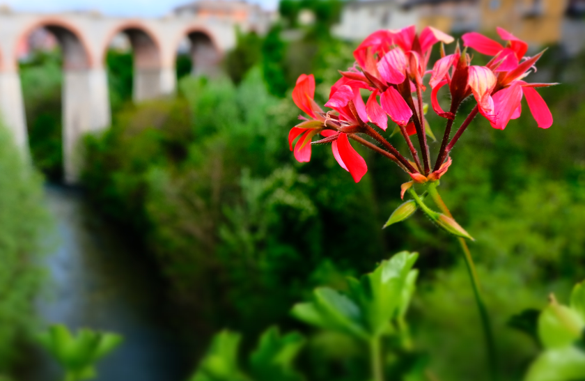 舜网 4月底,满眼深情,爱意难消,获桃花运,前任主动回归的生肖