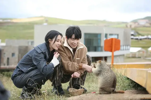 快乐大本营|抛开甜蜜滤镜，《女儿们的恋爱》第四季什么更让人“上头”？