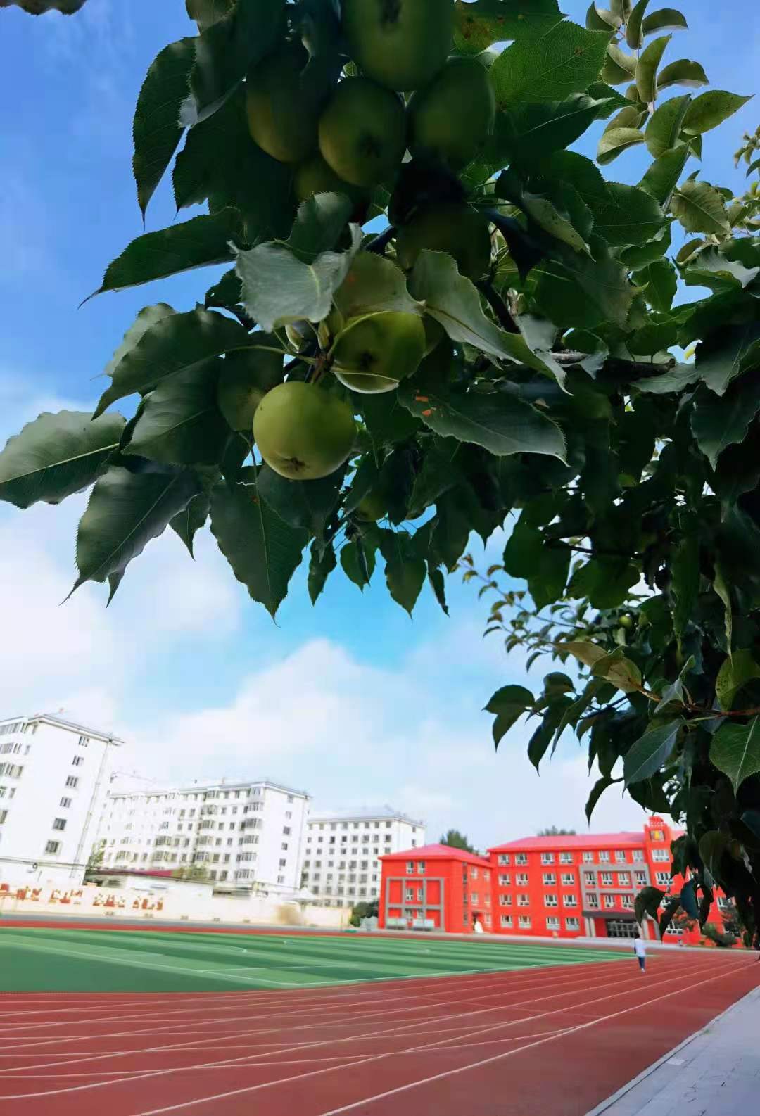 桃子甜美人生|你好!九月!你好,开学季!