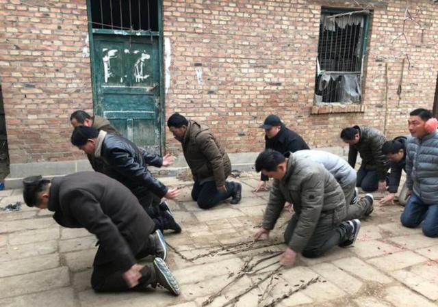 北美留学生日报 这个春节山东人火了，把我看哭了