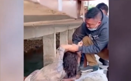 深圳市|广东深圳：美女钓鱼不慎落水悬空，凭借惊人的体力顽强上岸