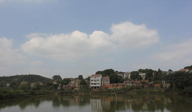 |一条鱼，对于我，就是一份思念