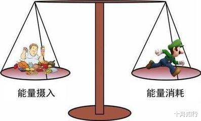 运动 保持500大卡的热量差，一个月就能瘦4斤？不，身体会对抗你的努力