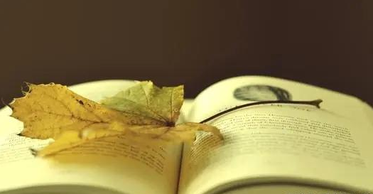 小海豚吖|就算没人疼,也不会一直卑微,这些星座可以靠自己,收获美好未来