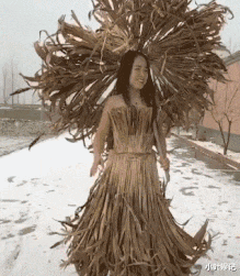 小叶娱记 “一年的高考季又来了,牛顿和鲁迅受到格外礼遇!”神评亮了!