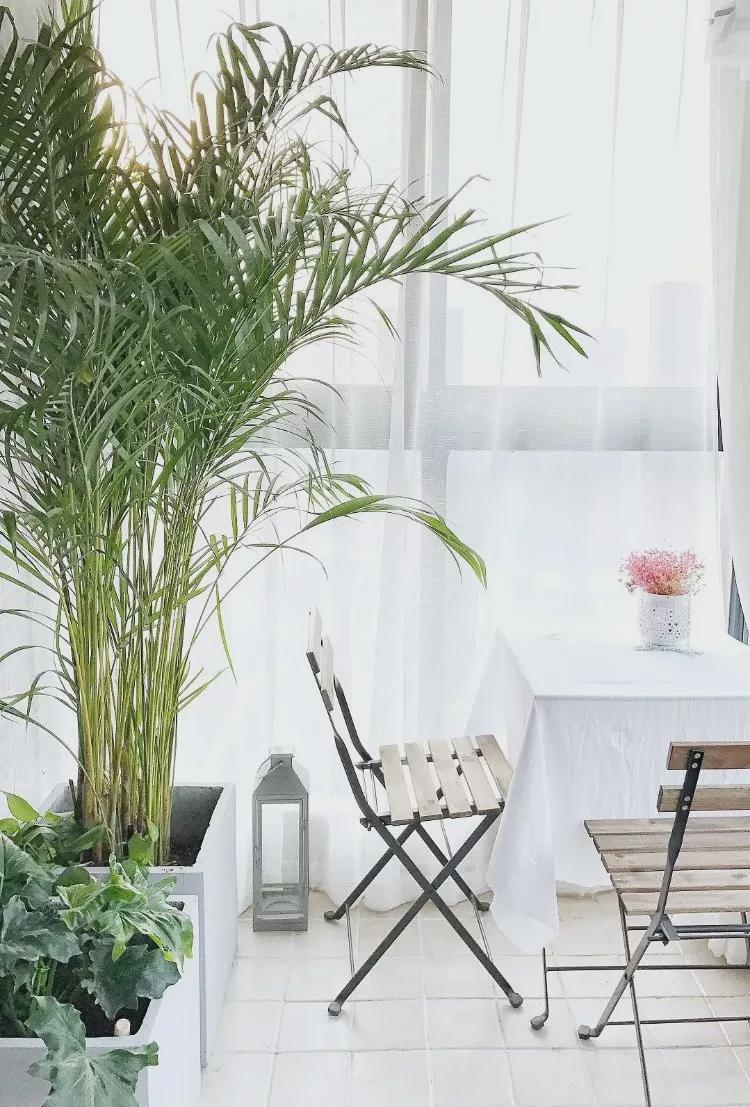 为什么越来越多的人喜欢封闭式阳台，看完就知道答案了！