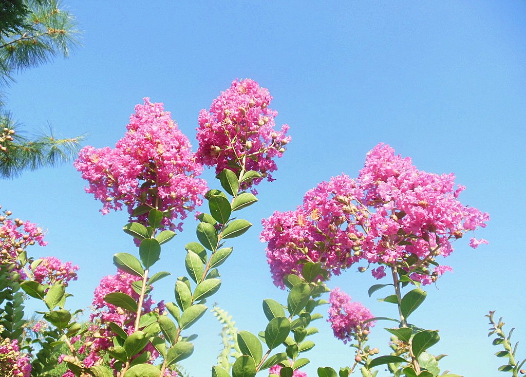 星座神巫|不吃“回头草”的星座，分开后难复合，别轻易说分手