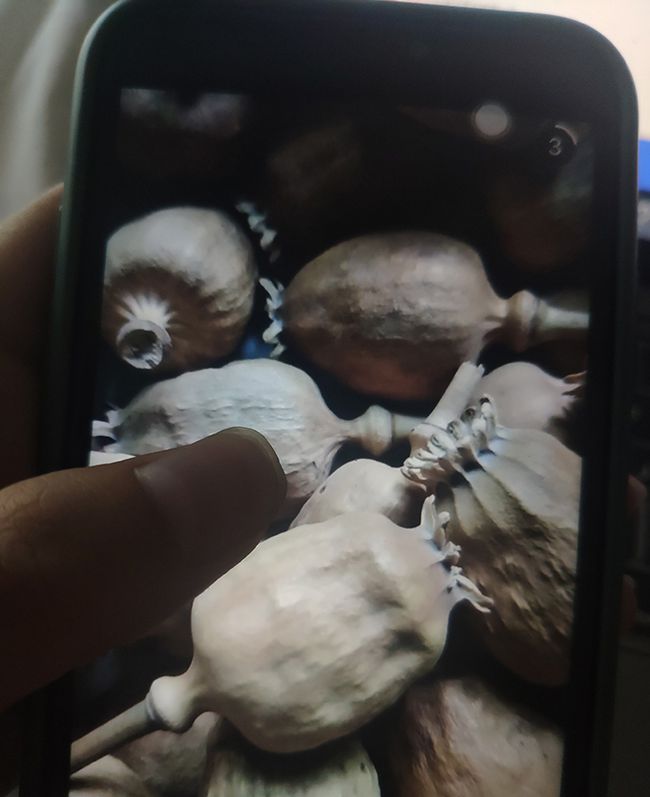 中国网文化 暗访丨多个中药材集散地存罂粟壳地下交易，多流向小吃市场