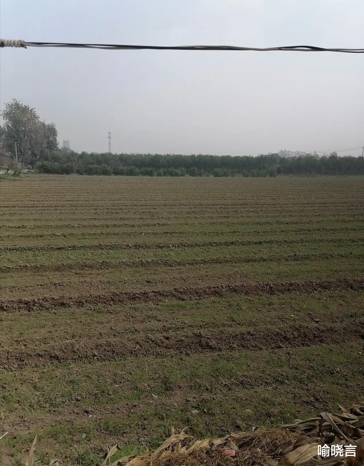 喻晓言 国家是叫你适当的囤粮，没有让你疯狂的囤粮。