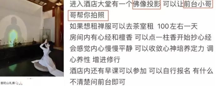 人物设定 一夜爆火，却被官媒点名封杀：她到底做错了什么？