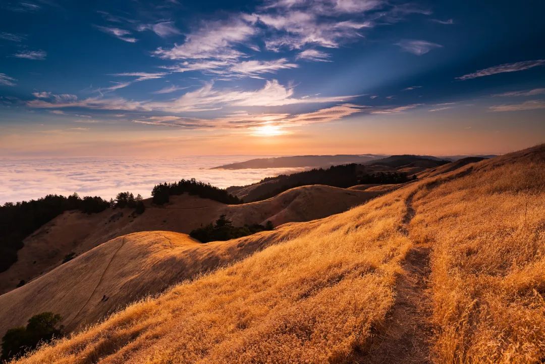 |2022年，桃花环绕，红娘帮扶，爱情将顺心如意，幸福无忧的星座