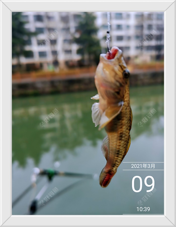 沙滩|早春同一窝点 不宜多次作钓