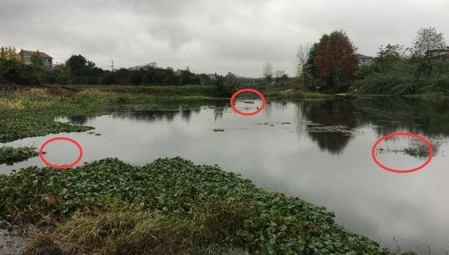 |钓位有多重要?关于钓位,你需要了解的一些事实