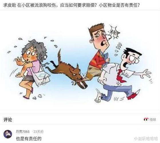 神回复:为什么运动会上,男生都喜欢看女生跑步?神评真相了